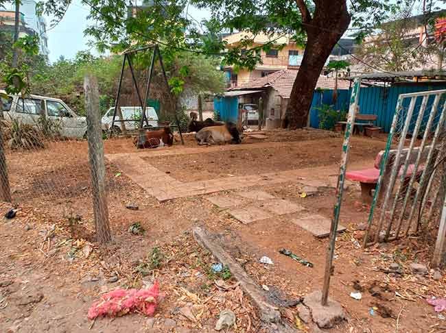 पालीतील एकमेव बालोद्यान अद्यापही दुरुस्तीच्या प्रतीक्षेत