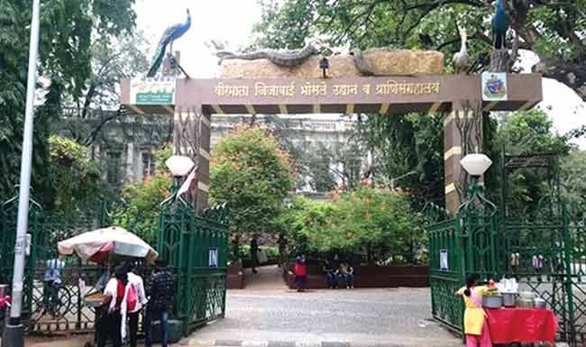 राणी बागेतील नव्या पाहुण्यांची पर्यटकांना भुरळ
