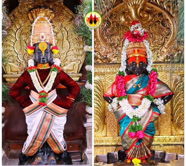 नवले दाम्पत्याला मिळाला महापूजाचा मान