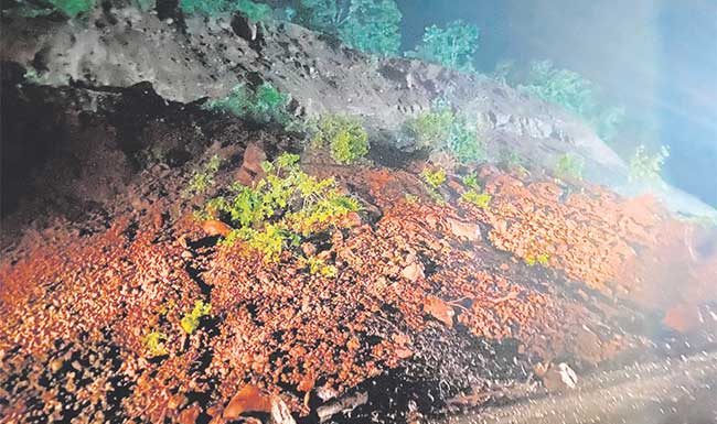 परशुराम घाटात दरड कोसळल्याने वाहतूक १० जुलैपर्यंत बंद