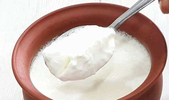 'दही' या शब्दाला तामिळनाडू सरकारचा विरोध