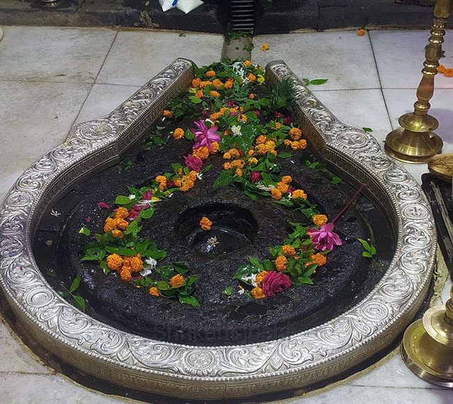 महाशिवरात्रीनिमित्त त्र्यंबकेश्वर मंदिर ३६ तास राहणार खुले राहणार