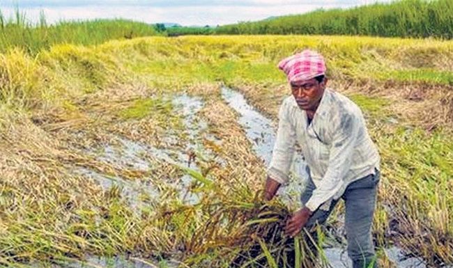 राज्यात येत्या दोन दिवसात पावसाची शक्यता
