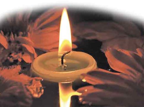 Vastu Shastra: घराच्या या जागेवर दररोज लावा दिवा, पैशांनी भरून जाईल तुमची तिजोरी