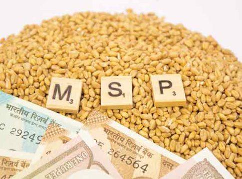 शेतकरी आणि अर्थव्यवस्थेला जीवदान