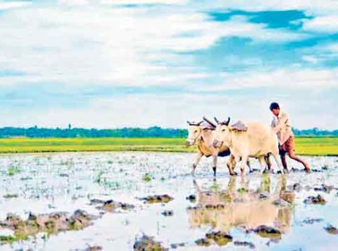 Good News : यंदा देशात सरासरीपेक्षा अधिक, तब्बल १०५ टक्के पाऊस पडणार!