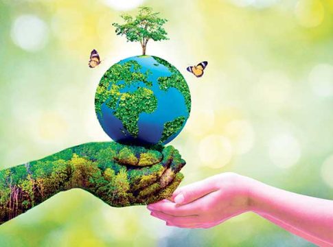 पर्यावरणाचे आरोग्य जपूया