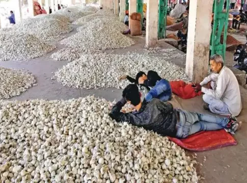 Garlic : कांदा, टोमॅटोनंतर आता लसणाचे राजकारण!