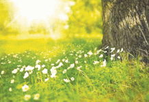 फिटला संदेहो निमाले दुजेपण