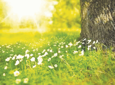 फिटला संदेहो निमाले दुजेपण