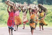 आदिवासी कल्याण योजना तळागाळापर्यंत पोहोचवाव्यात