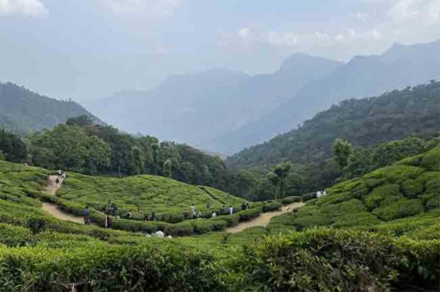 Travel Destination: एप्रिलमध्ये फिरण्यासाठी हे हिल स्टेशन आहेत बेस्ट