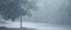 Weather Update : पुढील ४ दिवस महत्त्वाचे! वादळी वाऱ्यासह अवकाळी पावसाचा इशारा