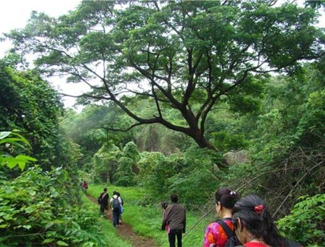महाराष्ट्रातील निसर्ग पर्यंटन स्थळांना मुबलक निधी
