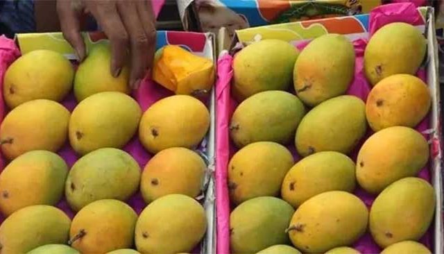 देवगडचा सांगून बाजारात विकला जातोय कर्नाटकचा आंबा