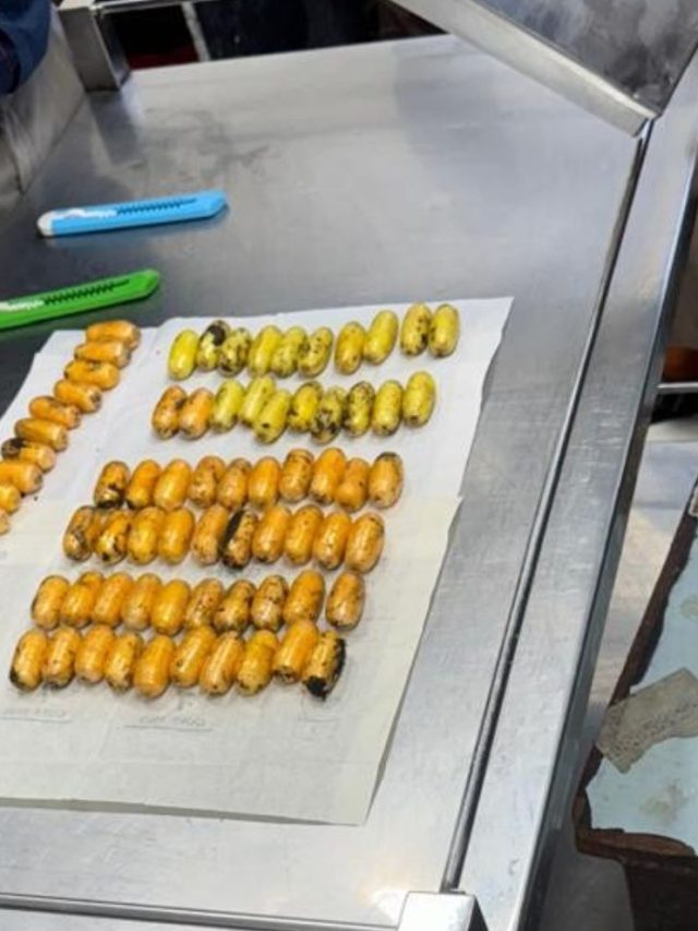 Cocaine Seized By DRI Mumbai : मुंबईत २२ कोटी रुपयांचे २.२ किलो कोकेन जप्त
