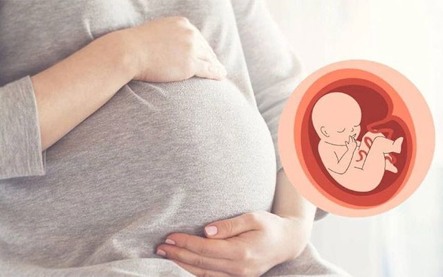 Uttar Pradesh News : अजबच! पैशांसाठी ३० महिन्यांत २५ वेळा झाली आई! ५ वेळा नसबंदी करूनही पुन्हा झाली गर्भवती?