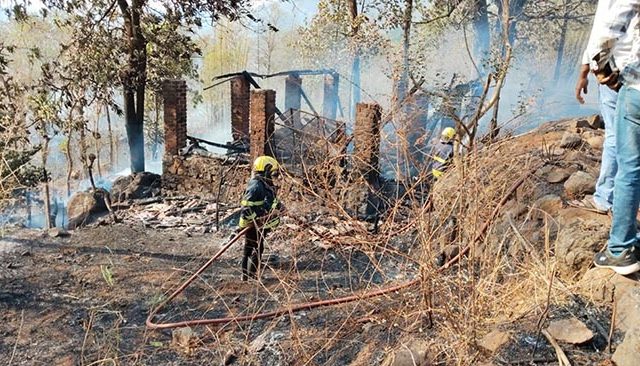 वणव्यात वाडा जळून खाक; तीन गुरे होरपळून ठार