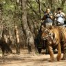 Melghat Jungle Safari : मेळघाट सफारी महागणार? भाडेवाढ मागणीसाठी ३ दिवसांपासून सफारी बंद, पर्यटकांचा हिरमोड!
