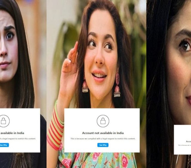 'या' पाक कलाकारांवर बंदी, पण 'हे' अजून का मोकळे? भारत सरकारच्या निर्णयावर प्रश्न!