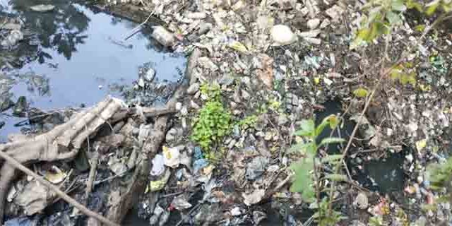 दादर धारावी नाल्याची सफाई की, डोळ्यात धुळफेक?