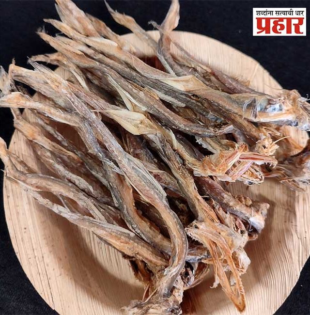 Dride Fish : सुकी मासळी खवय्यांच्या खिशाला फटका! सुक्या बोंबीलने खाल्ला भाव