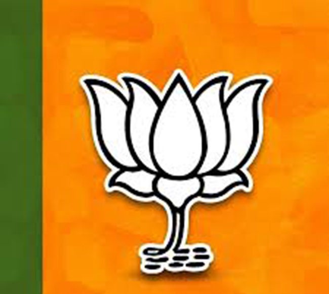 Vidhan Paridhad Election : विधानपरिषदेसाठी भाजपच्या 'या' १० जणांना मिळणार संधी
