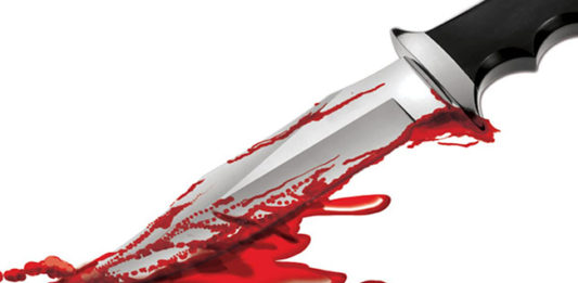 रत्नागिरी : पोटच्या मुलाकडून आईचा सुरीने गळा कापून खून