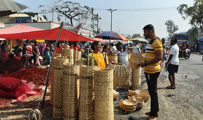बांबू व्यवसायावर संकट