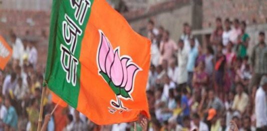 Loksabha Election : लोकसभेसाठी भाजपची १४वी यादी जाहीर; 'या' खासदाराचा पत्ता कट!