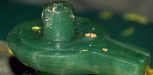 तामिळनाडू पोलिसांनी जप्त केले 500 कोटींचे शिवलींग