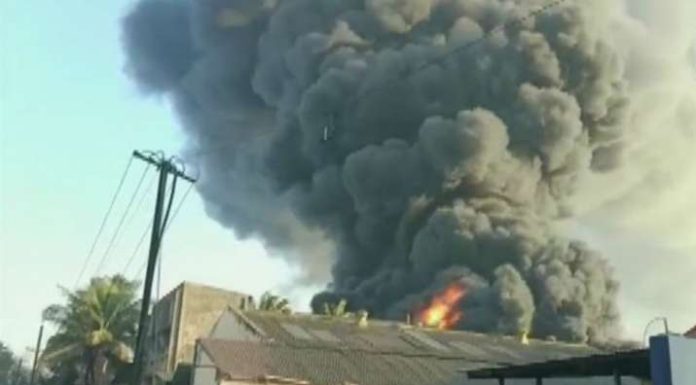 तारापूर औद्योगिक वसाहतीमधील निर्भया रसायन कारखान्याला भीषण आग