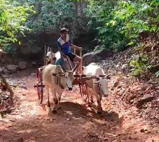 फणसवाडी गावात पाणीटंचाई कायम