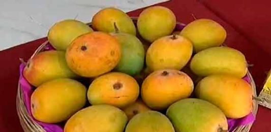 रत्नागिरीत स्थानिक बाजारपेठेतच आंबा विक्री वाढली