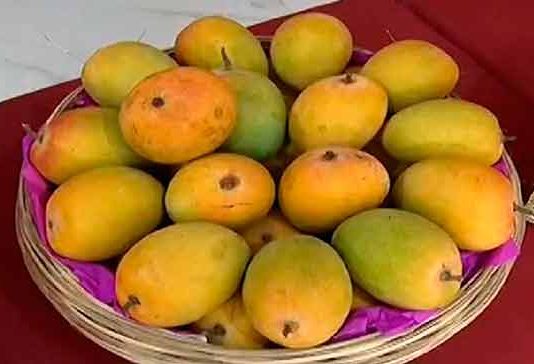 सावधान! कोकणचा हापूस होतोय बदनाम...!