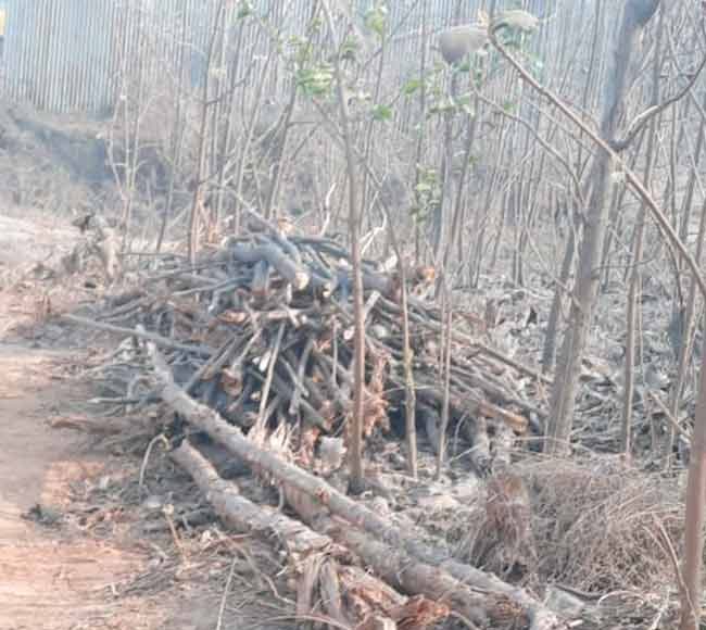 खरीवलीच्या क्रशरविरोधात नागरिकांची तक्रार