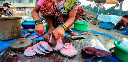 तुम्ही मासेप्रेमी आहात का? तर बातमी आहे तुमच्यासाठी