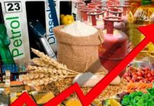 WPI Inflation: घाऊक महागाईत नोव्हेंबरमध्ये घसरण 'ही' आकडेवारी जाहीर