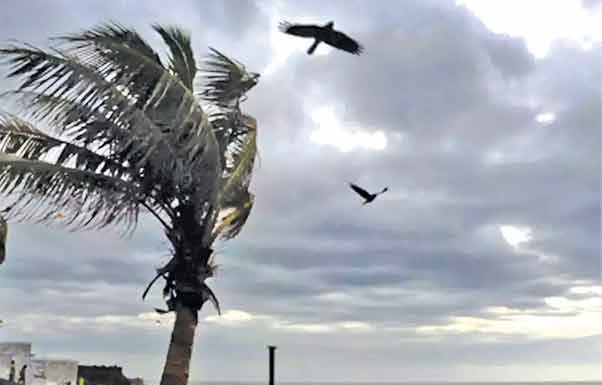 Rain forecast: उकाड्याने हैराण महाराष्ट्रात अखेर पावसाची एन्ट्री ‘या’ दिवशी होणार