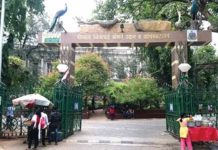 मुंबईतील हरित क्षेत्रे, उद्यानांवर आता बुधवारी राणीबागेत होणार चर्चा