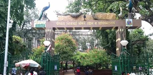 मुंबईतील हरित क्षेत्रे, उद्यानांवर आता बुधवारी राणीबागेत होणार चर्चा