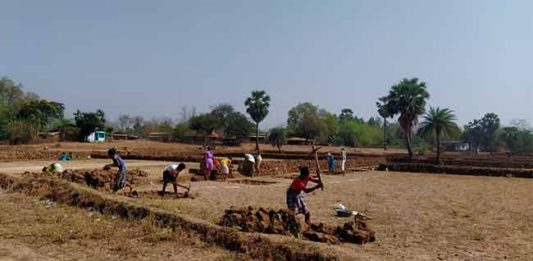 डहाणू तालुक्यात रोहयोच्या कामाला वेग