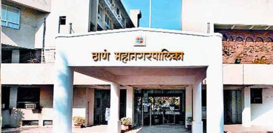 पाणी साचणाऱ्या ठिकाणी पंपांची व्यवस्था करण्याचे पालकमंत्र्यांचे निर्देश