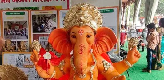 Ganeshotsav 2024 : यंदाच्या गणेशोत्सवात प्लॅस्टर ऑफ पॅरिसच्या मूर्तींना सशर्त परवानगी