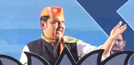 हा कुजका मेंदू कुणाचा?