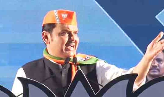 हा कुजका मेंदू कुणाचा?