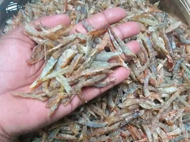 मुरुडच्या मच्छीमारांना अखेरच्या सीझनमध्ये कोळंबीचा जॅकपॉट