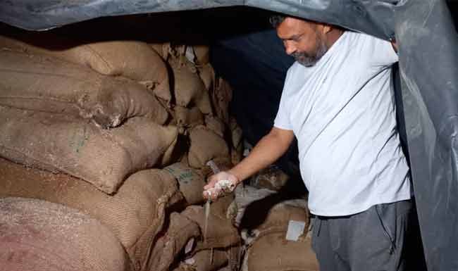 गरिबांना मिळणारे धान्य वॅगनमध्ये सडले