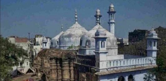 ज्ञानवापी मशिदीत आढळले प्राचिन शिवलिंग!