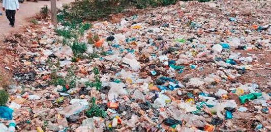 सिंगल युज प्लास्टिक पिशव्या बंदीच्या कारवाईचा उडाला फज्जा